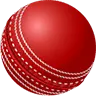 Cricket betting icon